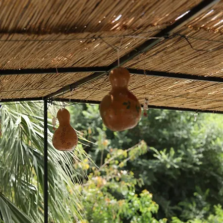 Yeni Doga Szálloda Dalyan