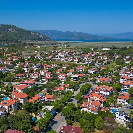 Yeni Doga * داليان