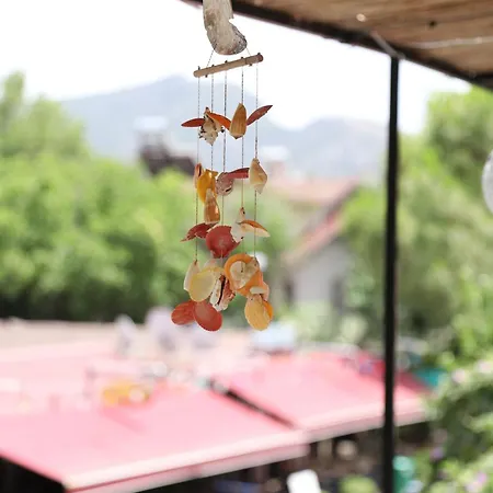 Yeni Doga * Dalyan