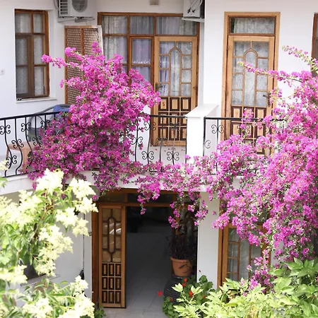 Yeni Doga Dalyan