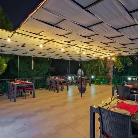 Yeni Doga דליאן