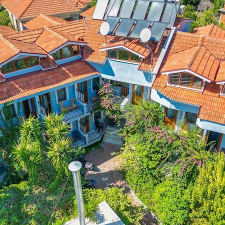 Yeni Doga דליאן