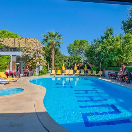 Yeni Doga * דליאן