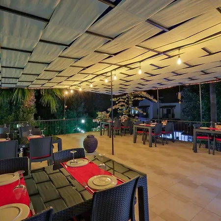 Yeni Doga דליאן