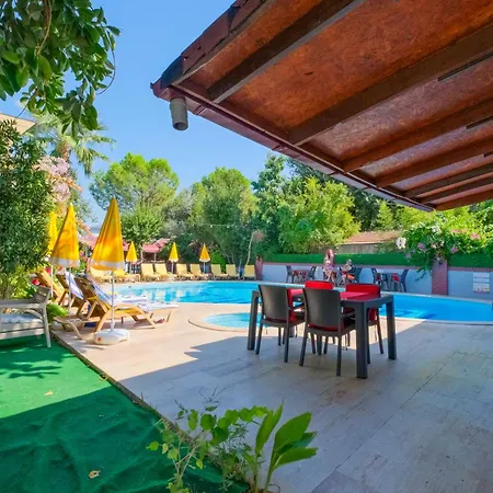 Yeni Doga דליאן