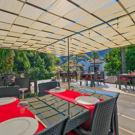 Yeni Doga * דליאן