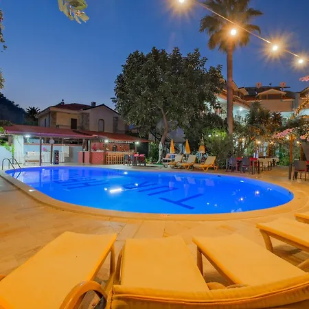 Yeni Doga דליאן