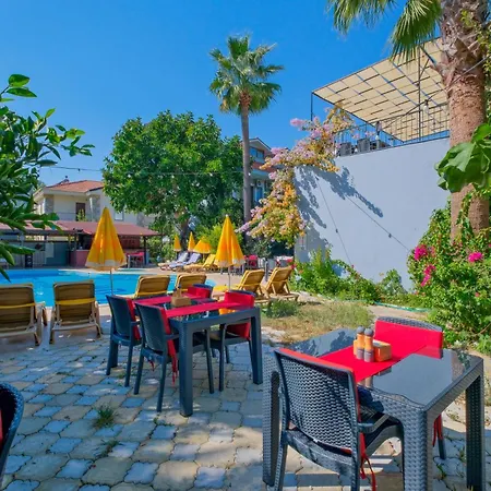 Yeni Doga דליאן