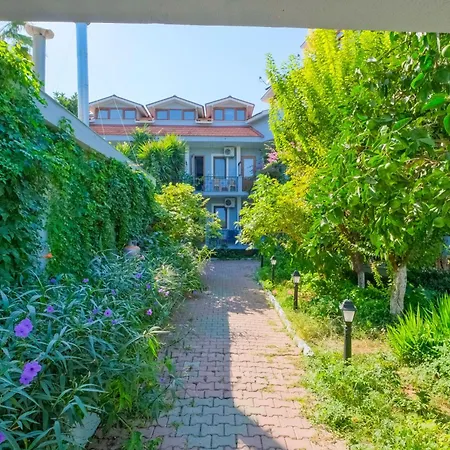 Yeni Doga דליאן