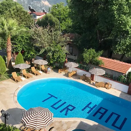 Yeni Doga