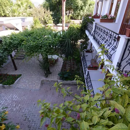 Yeni Doga