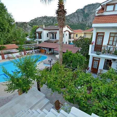 Yeni Doga Dalyan
